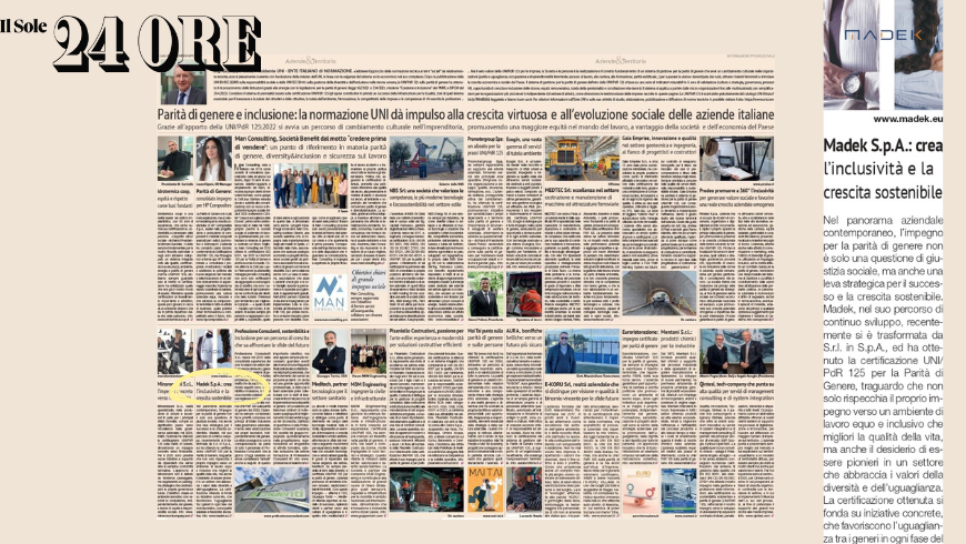 articolo sole 24ore